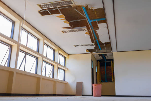 Best Fire Damage Restoration  in Hawley, PA