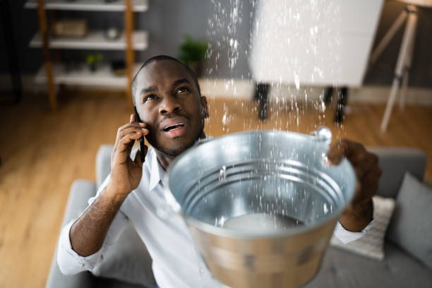 Best Local water damage restoration  in Hawley, PA