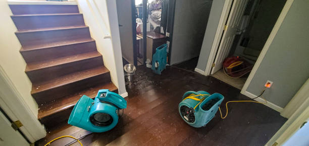 Carpet water damage restoration in Hawley, PA