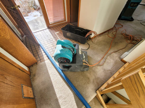 Best Residential water damage restoration  in Hawley, PA