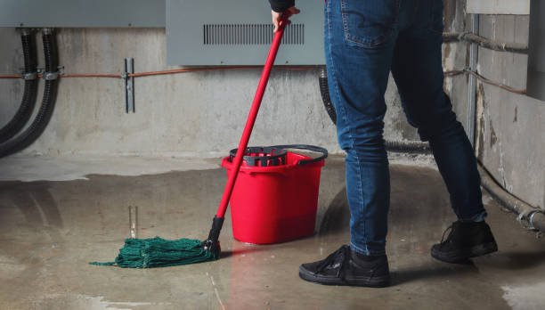 Best Flood damage cleanup  in Hawley, PA