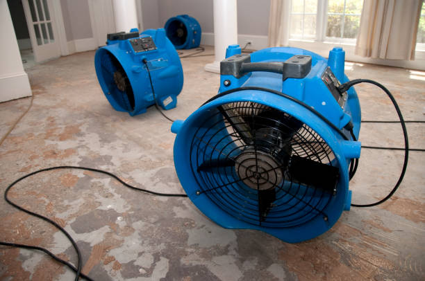 Best 24/7 water damage repair  in Hawley, PA