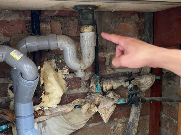 Best Water damage mitigation services  in Hawley, PA
