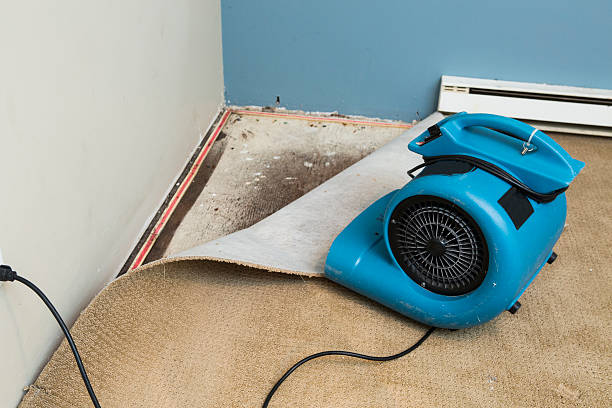 Best Professional water damage repair  in Hawley, PA